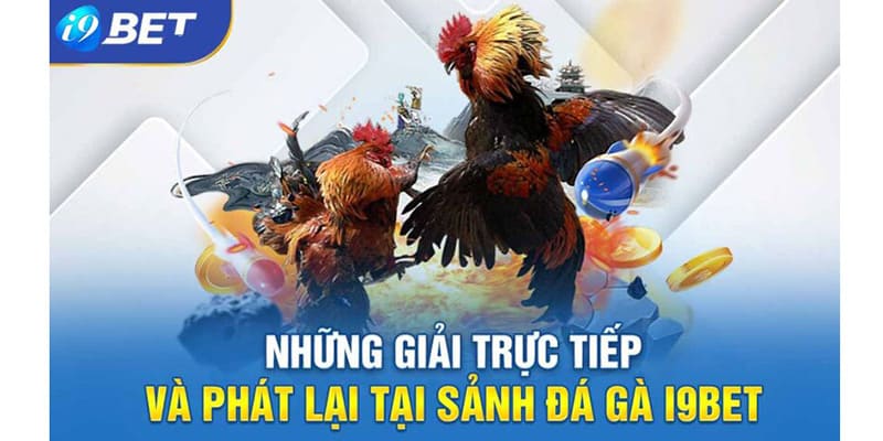 Cac giai dau lon duoc to chuc thuong nien