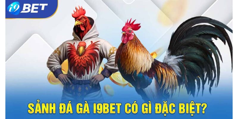 Co nhieu uu diem khi tham gia choi da ga I9BET